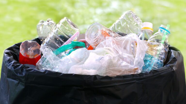 Single-use plastic waste disposal